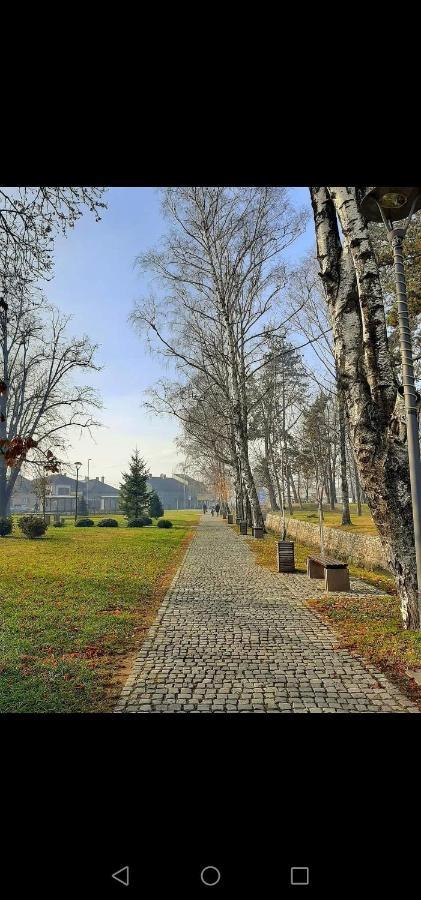 Jednosoban Stan Centar Apartment Pirot Exterior foto