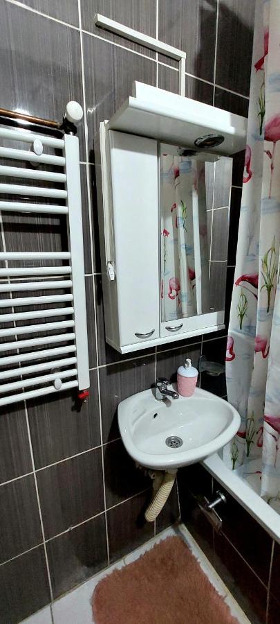 Jednosoban Stan Centar Apartment Pirot Exterior foto