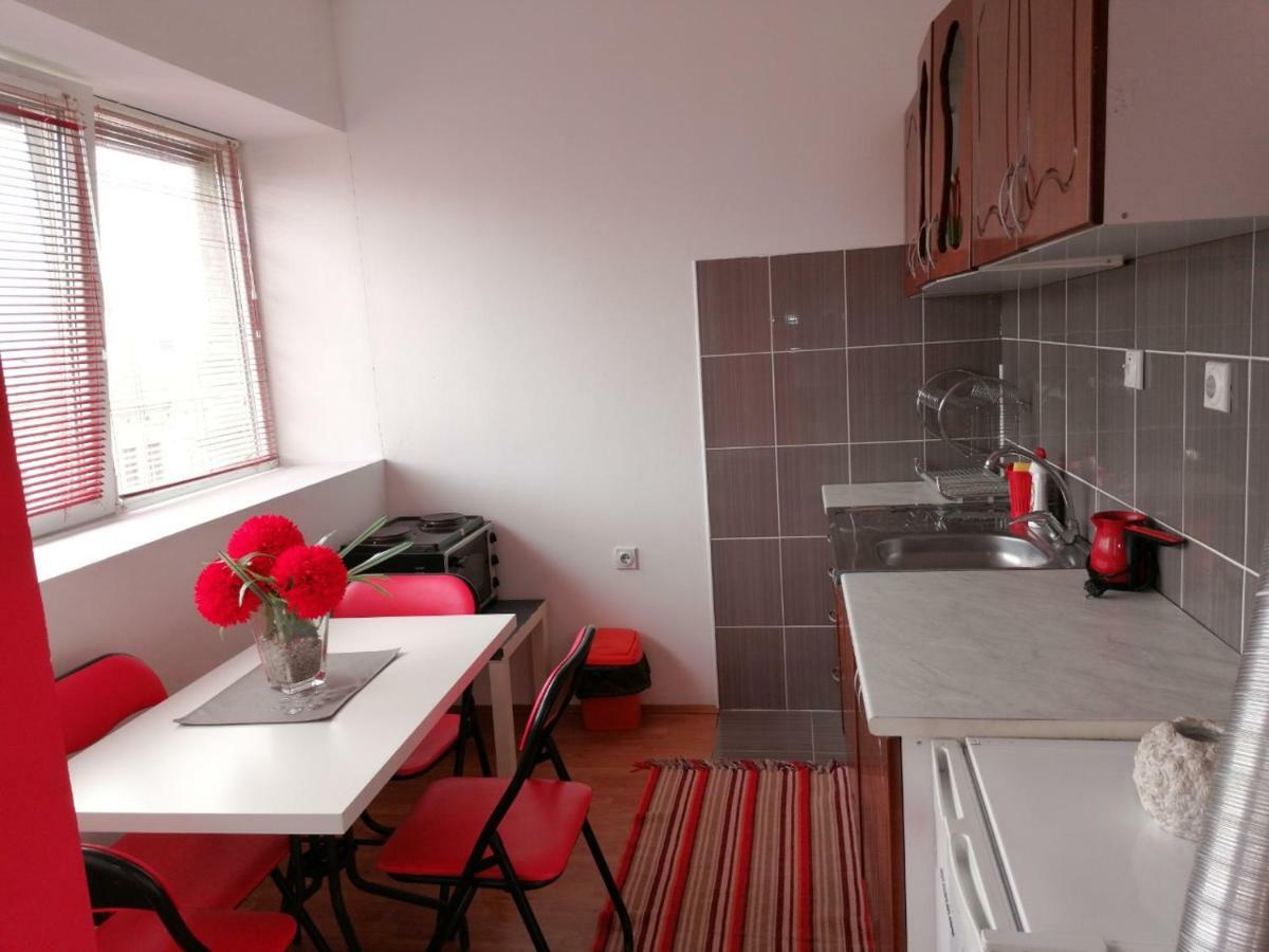 Jednosoban Stan Centar Apartment Pirot Exterior foto