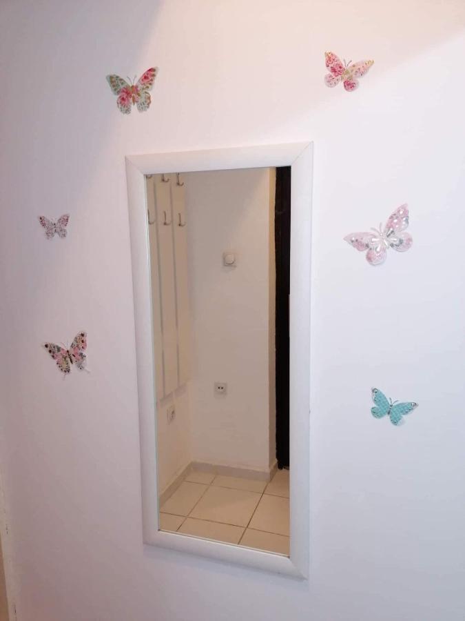 Jednosoban Stan Centar Apartment Pirot Exterior foto